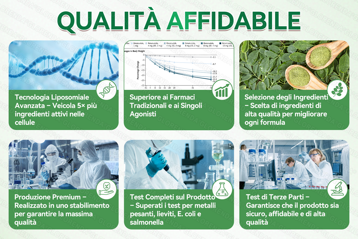 Store Ufficiale | 👨‍⚕️🎁 GFOUK® Moringa · Berberina × NAD+ Cerotto avanzato 10-in-1 con microneedle nano  🕒 Solo una volta al giorno ✨ Cambiamenti visibili già in 7 giorni