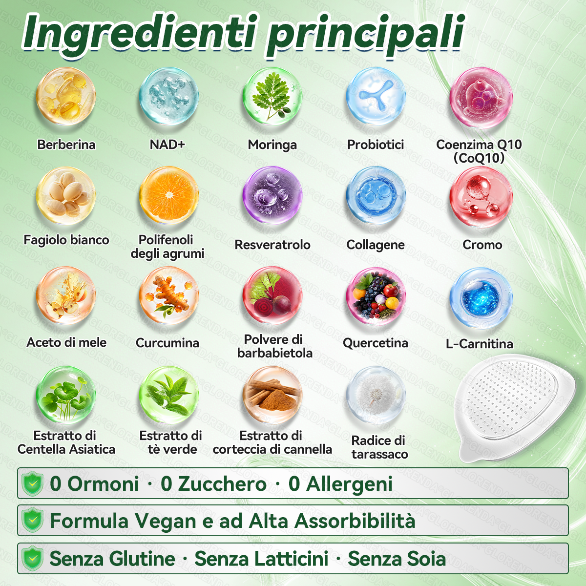 Store Ufficiale | 👨‍⚕️🎁 GFOUK® Moringa · Berberina × NAD+ Cerotto avanzato 10-in-1 con microneedle nano  🕒 Solo una volta al giorno ✨ Cambiamenti visibili già in 7 giorni