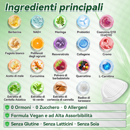 Store Ufficiale | 👨‍⚕️🎁 GFOUK® Moringa · Berberina × NAD+ Cerotto avanzato 10-in-1 con microneedle nano  🕒 Solo una volta al giorno ✨ Cambiamenti visibili già in 7 giorni